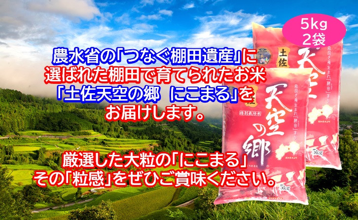 2010年・2016年 お米日本一コンテスト inしずおか 特別最高金賞受賞 土佐天空の郷 にこまる 10kg