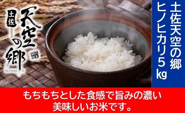 農林水産省の「つなぐ棚田遺産」に選ばれた棚田で育てられた棚田米　土佐天空の郷　ヒノヒカリ　5kg