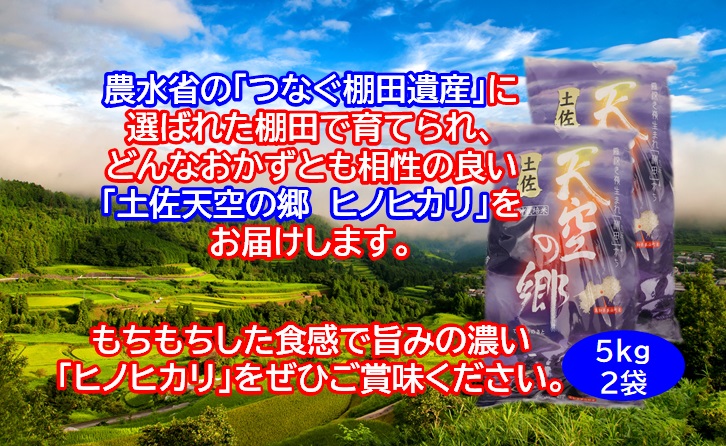 農林水産省の「つなぐ棚田遺産」に選ばれた棚田で育てられた棚田米　土佐天空の郷　ヒノヒカリ　10kg