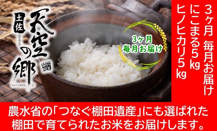 農林水産省の「つなぐ棚田遺産」に選ばれた棚田で育てられた 棚田米土佐天空の郷　5kg食べくらべセット定期便 毎月お届け 全3回