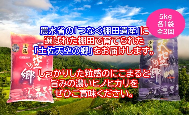 農林水産省の「つなぐ棚田遺産」に選ばれた棚田で育てられた 棚田米土佐天空の郷　5kg食べくらべセット定期便 毎月お届け 全3回