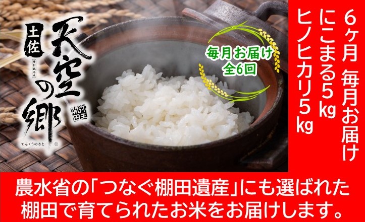 農林水産省の「つなぐ棚田遺産」に選ばれた棚田で育てられた 棚田米 土佐天空の郷 5kg食べくらべセット定期便 毎月お届け 全6回