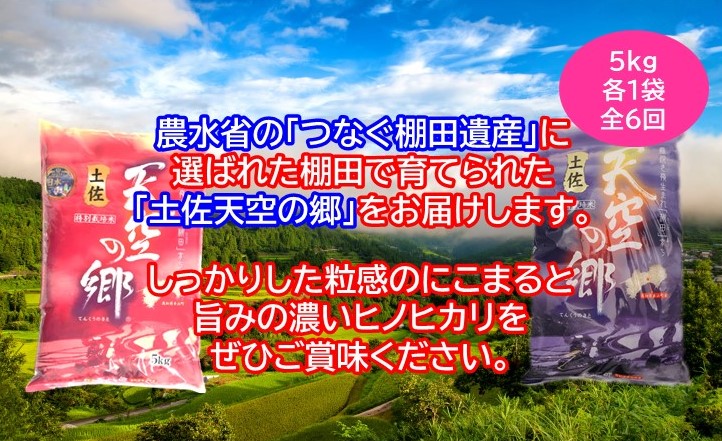 農林水産省の「つなぐ棚田遺産」に選ばれた棚田で育てられた 棚田米 土佐天空の郷 5kg食べくらべセット定期便 毎月お届け 全6回