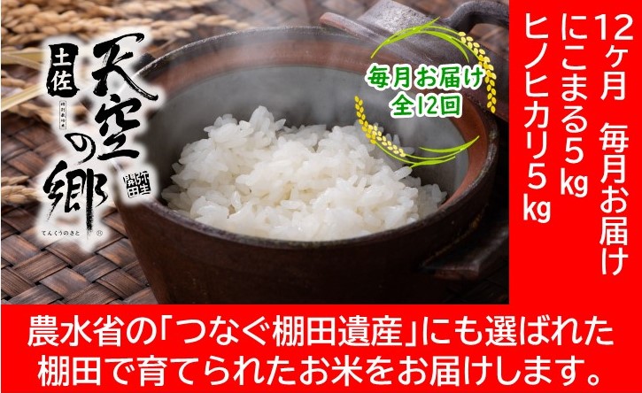 農林水産省の「つなぐ棚田遺産」に選ばれた棚田で育てられた 棚田米 土佐天空の郷 5kg食べくらべセット定期便 毎月お届け 全12回