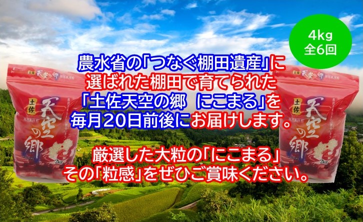 2010年・2016年 お米日本一コンテスト inしずおか 特別最高金賞受賞土佐天空の郷　にこまる 4kg　毎月お届け全6回