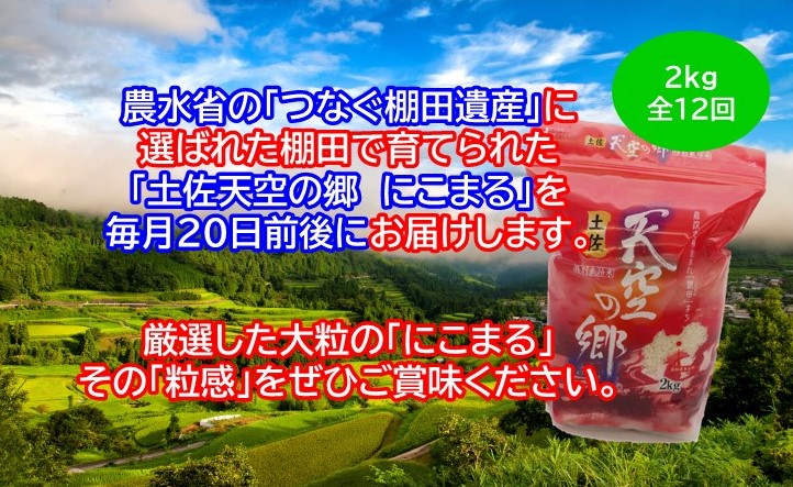 2010年・2016年 お米日本一コンテスト inしずおか 特別最高金賞受賞 土佐天空の郷　にこまる 2kg　毎月お届け全12回