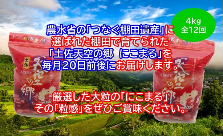 2010年・2016年 お米日本一コンテスト inしずおか 特別最高金賞受賞 土佐天空の郷　にこまる　4kg　毎月お届け全12回