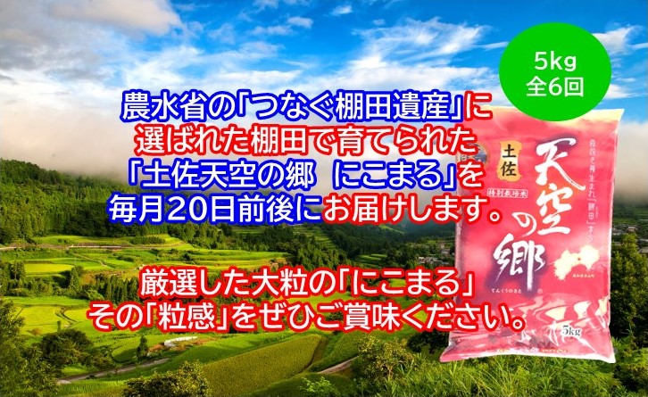 2010年・2016年 お米日本一コンテスト inしずおか 特別最高金賞受賞土佐天空の郷　にこまる　5kg　毎月お届け全6回