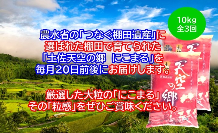 2010年・2016年 お米日本一コンテスト inしずおか 特別最高金賞受賞 土佐天空の郷　にこまる　10kg定期便　毎月お届け全3回