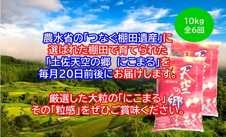 2010年・2016年 お米日本一コンテスト inしずおか 特別最高金賞受賞 棚田米 土佐天空の郷 にこまる 10kg 定期便 毎月お届け 全6回