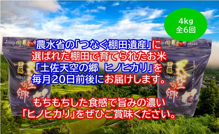 農林水産省の「つなぐ棚田遺産」に選ばれた棚田で育てられた土佐天空の郷 ヒノヒカリ 4kg定期便 毎月お届け 全6回