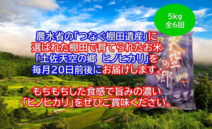 農林水産省の「つなぐ棚田遺産」に選ばれた棚田で育てられた土佐天空の郷 ヒノヒカリ 5kg定期便  毎月お届け 全6回