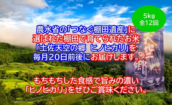 農林水産省の「つなぐ棚田遺産」に選ばれた棚田で育てられた 土佐天空の郷 ヒノヒカリ 5kg定期便  毎月お届け　全12回