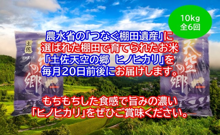 農林水産省の「つなぐ棚田遺産」に選ばれた棚田で育てられた 土佐天空の郷 ヒノヒカリ 10kg 定期便  毎月お届け　全6回