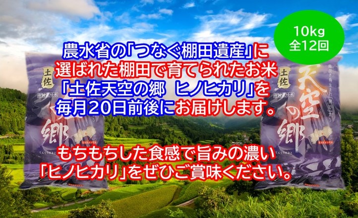 農林水産省の「つなぐ棚田遺産」に選ばれた棚田で育てられた 土佐天空の郷 ヒノヒカリ10kg 定期便 　毎月お届け　全12回