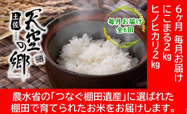 農林水産省の「つなぐ棚田遺産」に選ばれた棚田で育てられた棚田米 土佐天空の郷 2kg食べくらべセット定期便  毎月お届け 全6回