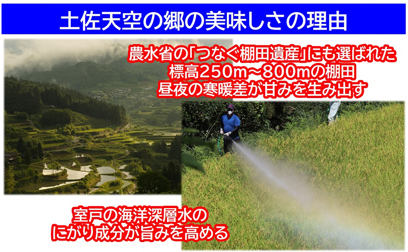 農林水産省の「つなぐ棚田遺産」に選ばれた棚田で育てられた棚田米　土佐天空の郷　ヒノヒカリ　10kg