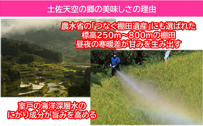 農林水産省の「つなぐ棚田遺産」に選ばれた棚田で育てられた棚田米 土佐天空の郷 5kg食べくらべセット