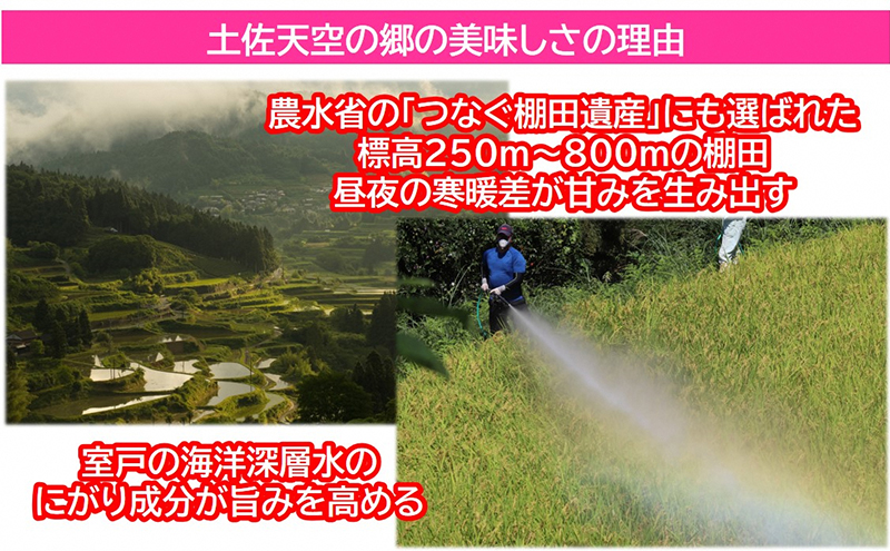 2010年・2016年 お米日本一コンテスト inしずおか 特別最高金賞受賞 土佐天空の郷 にこまる 5kg