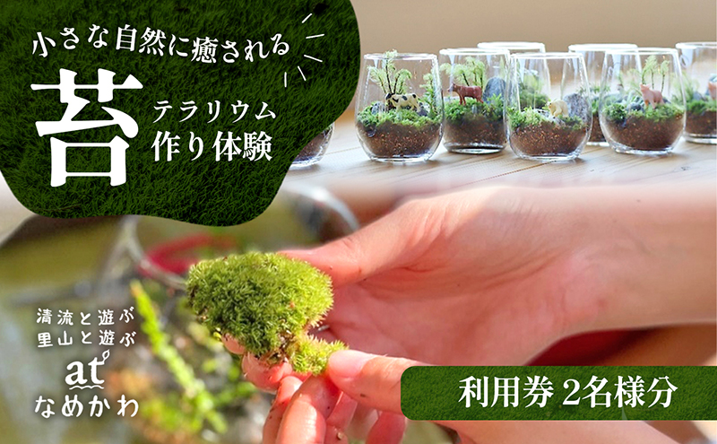 小さな自然に癒される【苔テラリウム作り体験】利用券