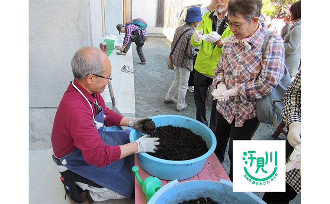 汗見川ふれあいの郷清流館「苔玉づくり体験」利用券