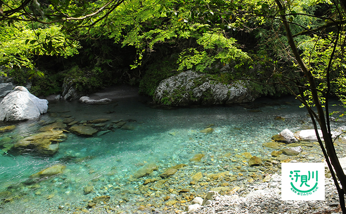 山奥の秘境「汗見川ふれあいの郷清流館」素泊まりペア宿泊券