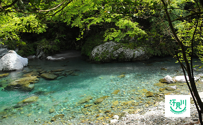 山奥の秘境「汗見川ふれあいの郷清流館」素泊まり宿泊券（1名様分）