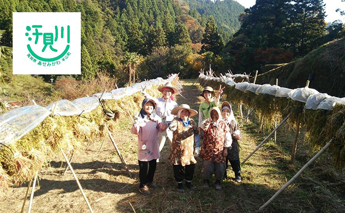 地元産そば粉使用！汗見川ふれあいの郷清流館「そば打ち体験」利用券