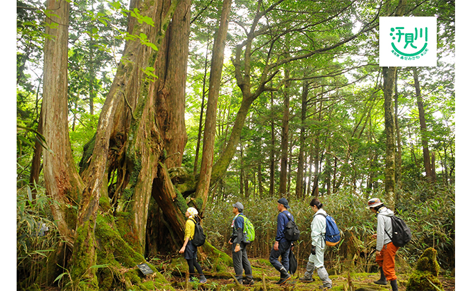 山奥の秘境「汗見川ふれあいの郷清流館」素泊まり宿泊券（1名様分）