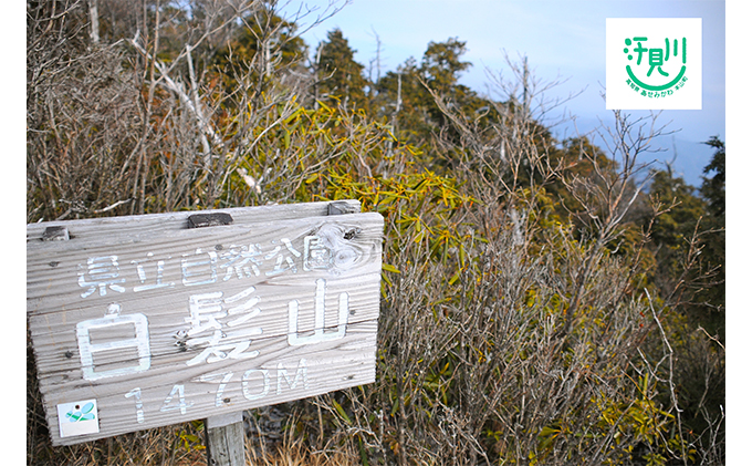 山奥の秘境「汗見川ふれあいの郷清流館」素泊まりペア宿泊券