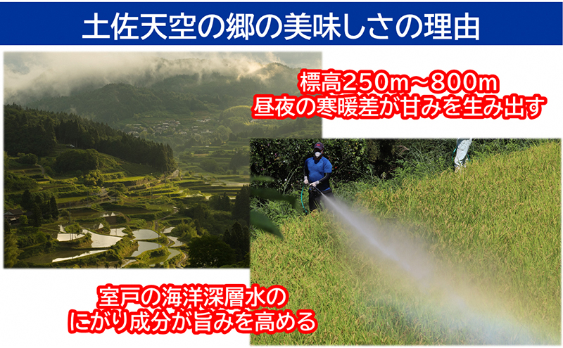 農林水産省の「つなぐ棚田遺産」に選ばれた棚田で育てられた棚田米 土佐天空の郷 1kg食べくらべセット