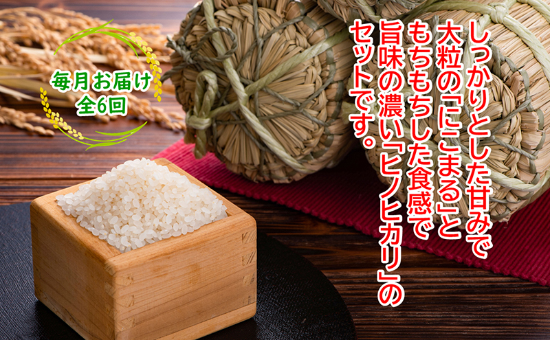 農林水産省の「つなぐ棚田遺産」に選ばれた棚田で育てられた棚田米 土佐天空の郷 2kg食べくらべセット定期便  毎月お届け 全6回