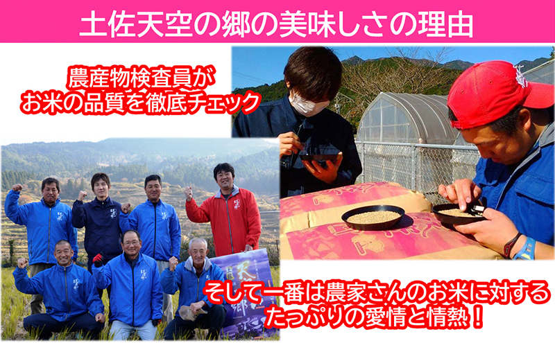 農林水産省の「つなぐ棚田遺産」に選ばれた棚田で育てられた棚田米 土佐天空の郷 5kg食べくらべセット