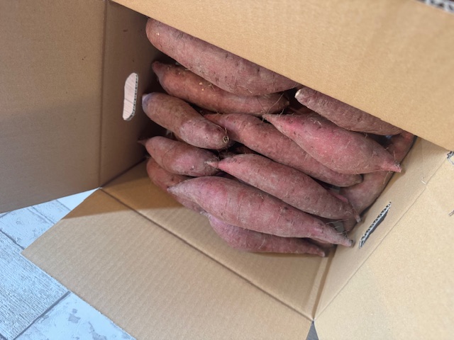 自然のままに。山下農園の超自然農法で育ったさつまいも（紅はるか）10kg