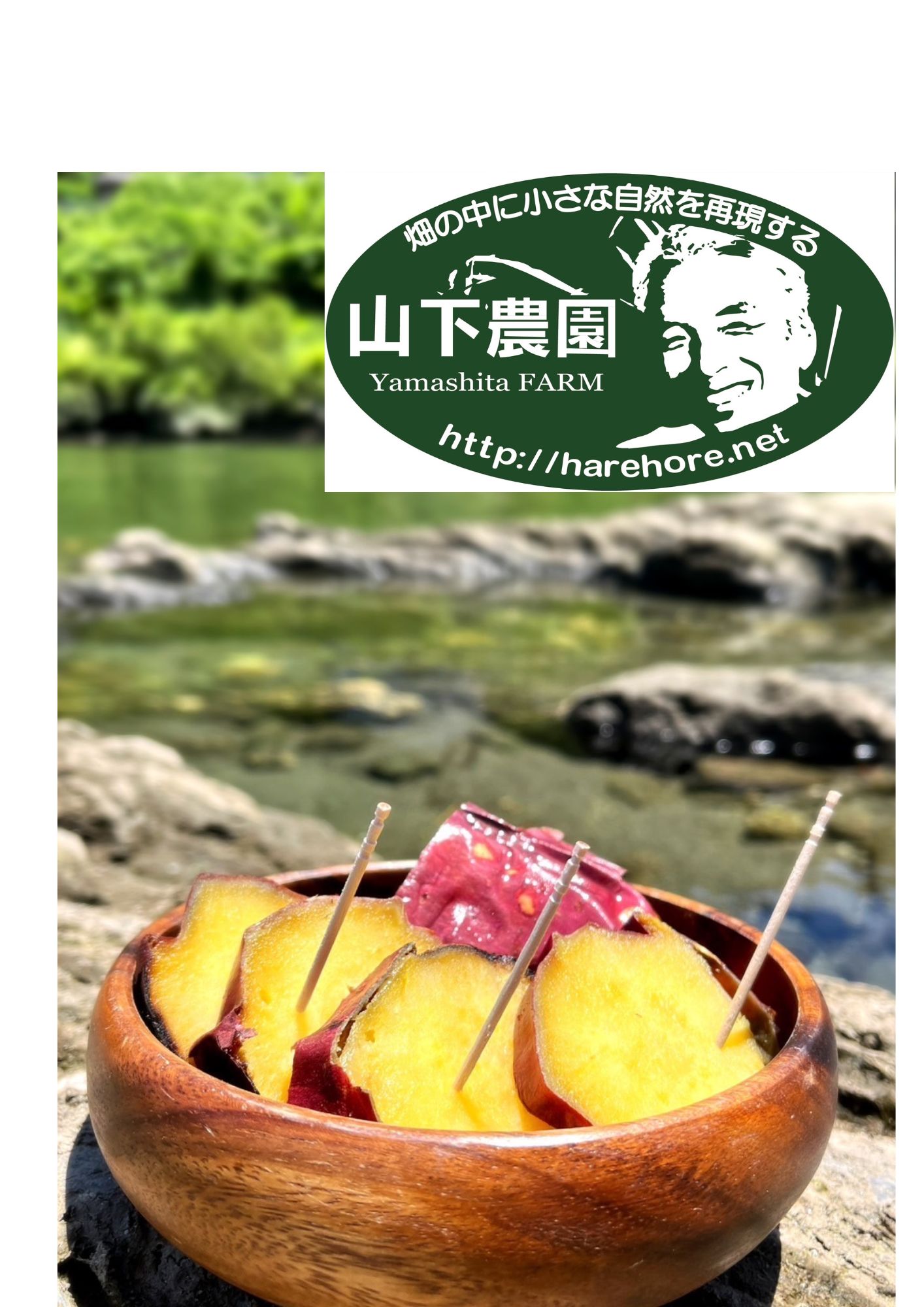 冷やし蜜焼き芋「寛芋（かんう）」3kg（500g×6P）