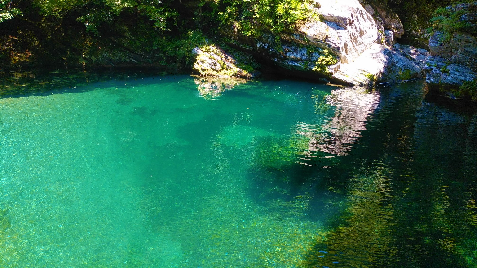 2026年7月26日(日)開催　第37回汗見川清流マラソン大会出走権（1名様分）