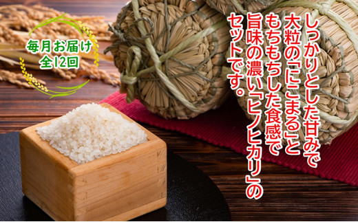 農林水産省の「つなぐ棚田遺産」に選ばれた棚田で育てられた 棚田米 土佐天空の郷 5kg食べくらべセット定期便 毎月お届け 全12回