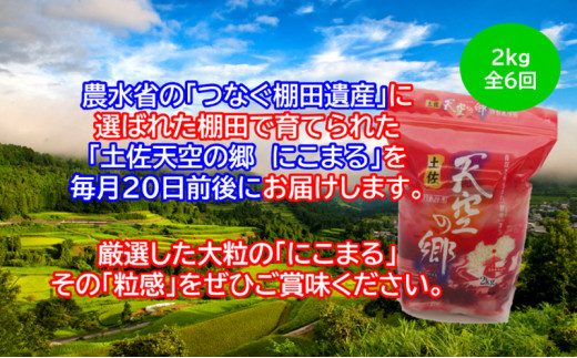 2010年・2016年 お米日本一コンテスト inしずおか 特別最高金賞受賞土佐天空の郷　にこまる 2kg　毎月お届け全6回