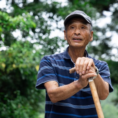 わんダフルジビエ!贅沢【S】セット【1626197】