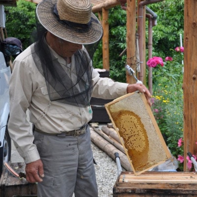 高知のお山の蜂蜜2種セット (土佐ゆず花ハチミツ&百花ハチミツ)【1496761】