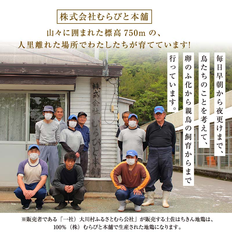 地鶏 土佐はちきん地鶏もも肉 5kg 地鶏 モモ肉 鶏肉 とり肉 とりにく 肉 高知県 大川村 F6R-103