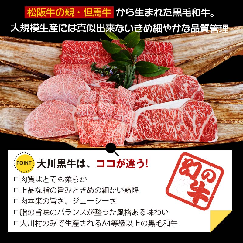 国産黒毛和牛 大川黒牛 ロース しゃぶしゃぶ用 スライス A4（250g×2パック） 国産 黒毛和牛 A4 ロース 牛肉 しゃぶしゃぶ 牛しゃぶ 鍋 牛 ビーフ 肉 食品 高知県 大川村 F6R-023