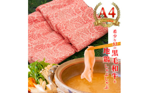 国産黒毛和牛 大川黒牛 ロース しゃぶしゃぶ用 スライス A4（300g×2）＆はちきん地鶏 むね肉 しゃぶしゃぶ用（400g）セット 計1kg 国産 黒毛和牛 A4 ロース 牛肉 地鶏 ムネ肉 鶏肉 牛しゃぶ 鍋 牛 しゃぶしゃぶ 高知県 大川村 F6R-025