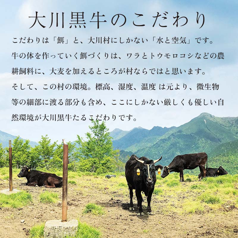 åœç£é»æ¯åç 倧å·é»ç ãµãŒãã€ã³ã¹ããŒã A4以äžïŒ200gÃ2æïŒ åœç£ 黿¯åç A4 A5 ã¹ããŒã ãµãŒãã€ã³ çè ããŒããã¥ãŒ BBQ ãããã ç ããŒã è é£å é«ç¥ç 倧巿 F6R-019