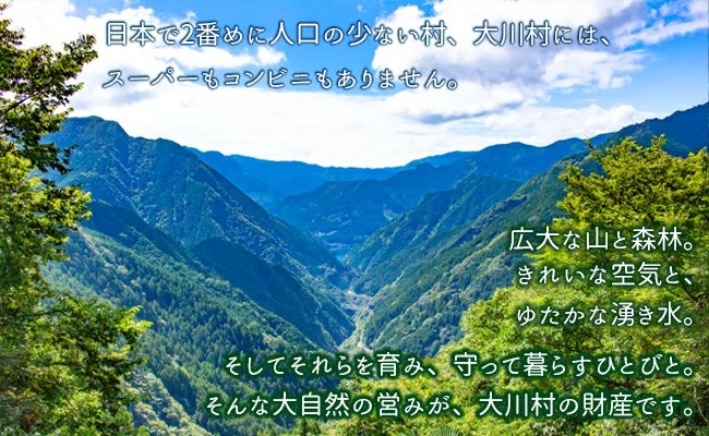 土佐はちきん地鶏しゃぶしゃぶセット（土佐はちきん地鶏スライス600g つくね200g 鶏ガラスープ500ml ポン酢200ml 塩30g）地鶏 鍋 しゃぶしゃぶ つくね ムネ肉 胸肉 鶏肉 とり肉 とりにく 肉 高知県 大川村 F6R-081