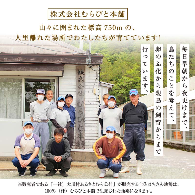 サラダはちきん 1.5kg（150g×10個） サラダチキン 土佐はちきん地鶏 地鶏 ぢどり じどり 鶏肉 とり肉 チキン蒸し鶏 むね肉 胸肉 国産 高知県産 惣菜 レトルト 調理済み インスタント 高知県 大川村 F6R-038