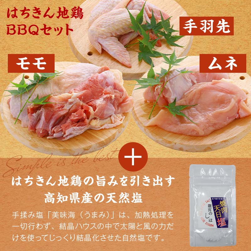 土佐はちきん地鶏 バーベキューセット（2〜3人前） もも肉 むね肉 手羽先 天日塩 BBQ アウトドア 料理 地鶏 モモ肉 ムネ肉 胸肉 鶏肉 とり肉 とりにく 肉 高知県 大川村 F6R-009