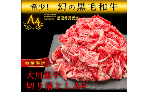 国産黒毛和牛 大川黒牛 切り落とし A4（250g×2パック） 国産 黒毛和牛 A4 切り落とし 牛肉 牛 ビーフ 肉 食品 高知県 大川村 F6R-020