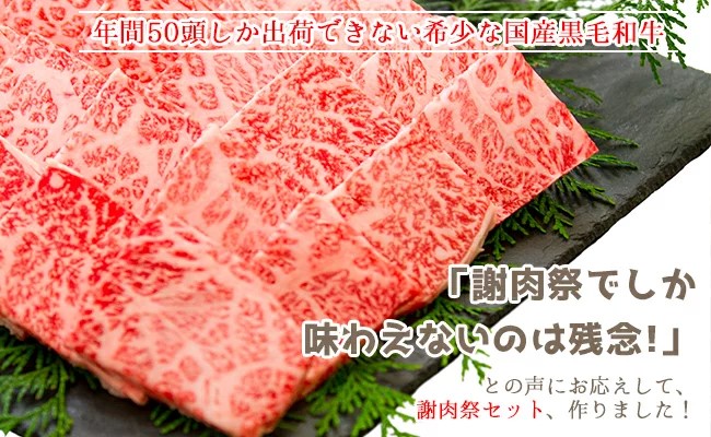 大川村謝肉祭セット（土佐はちきん地鶏700g 大川黒牛200g 大川村謝肉祭のたれ400g 塩30g ポン酢200ml）期間限定 地鶏 詰合せ もも肉 モモ むね肉 ムネ 胸肉 鶏肉 とり肉 とりにく 肉 高知県 大川村 F6R-082