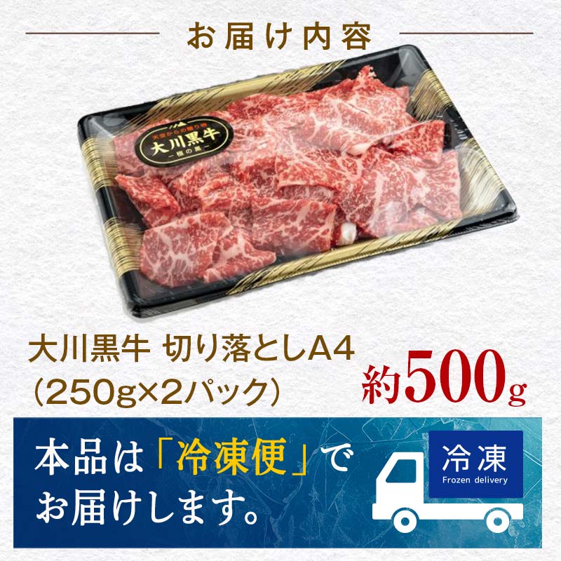 åœç£é»æ¯åç 倧å·é»ç åãèœãšã A4ïŒ250gÃ2ããã¯ïŒ åœç£ 黿¯åç A4 åãèœãšã çè ç ããŒã è é£å é«ç¥ç 倧巿 F6R-020